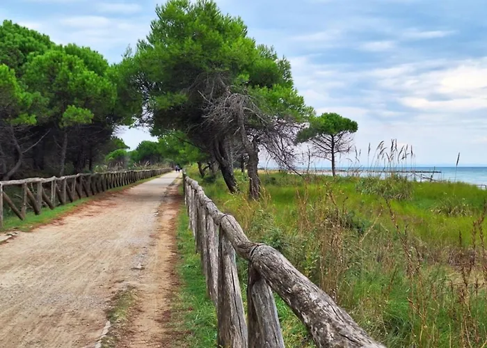 Lejlighed Cosy Flat With Private Garden Bibione